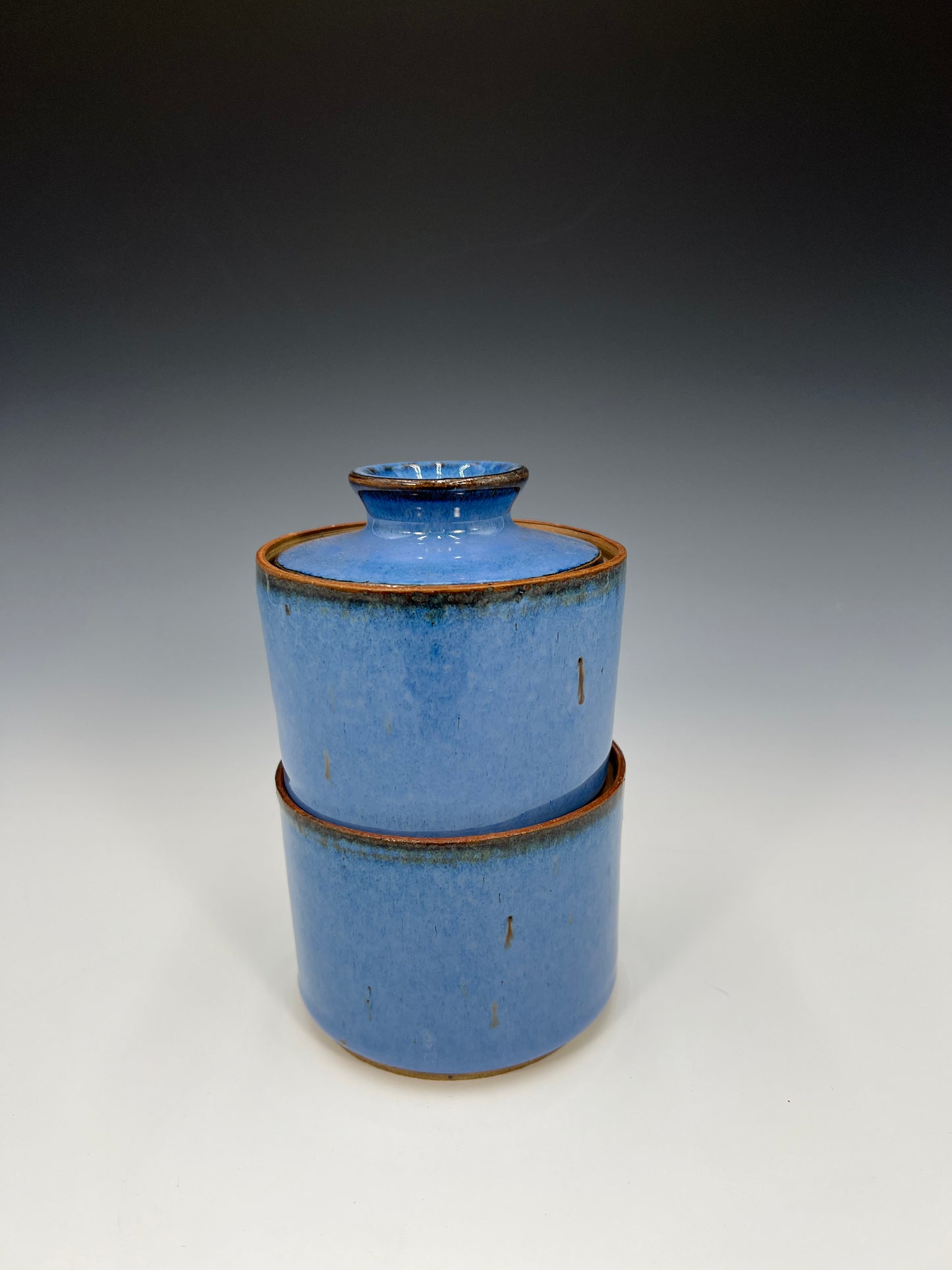 Monarch Mug