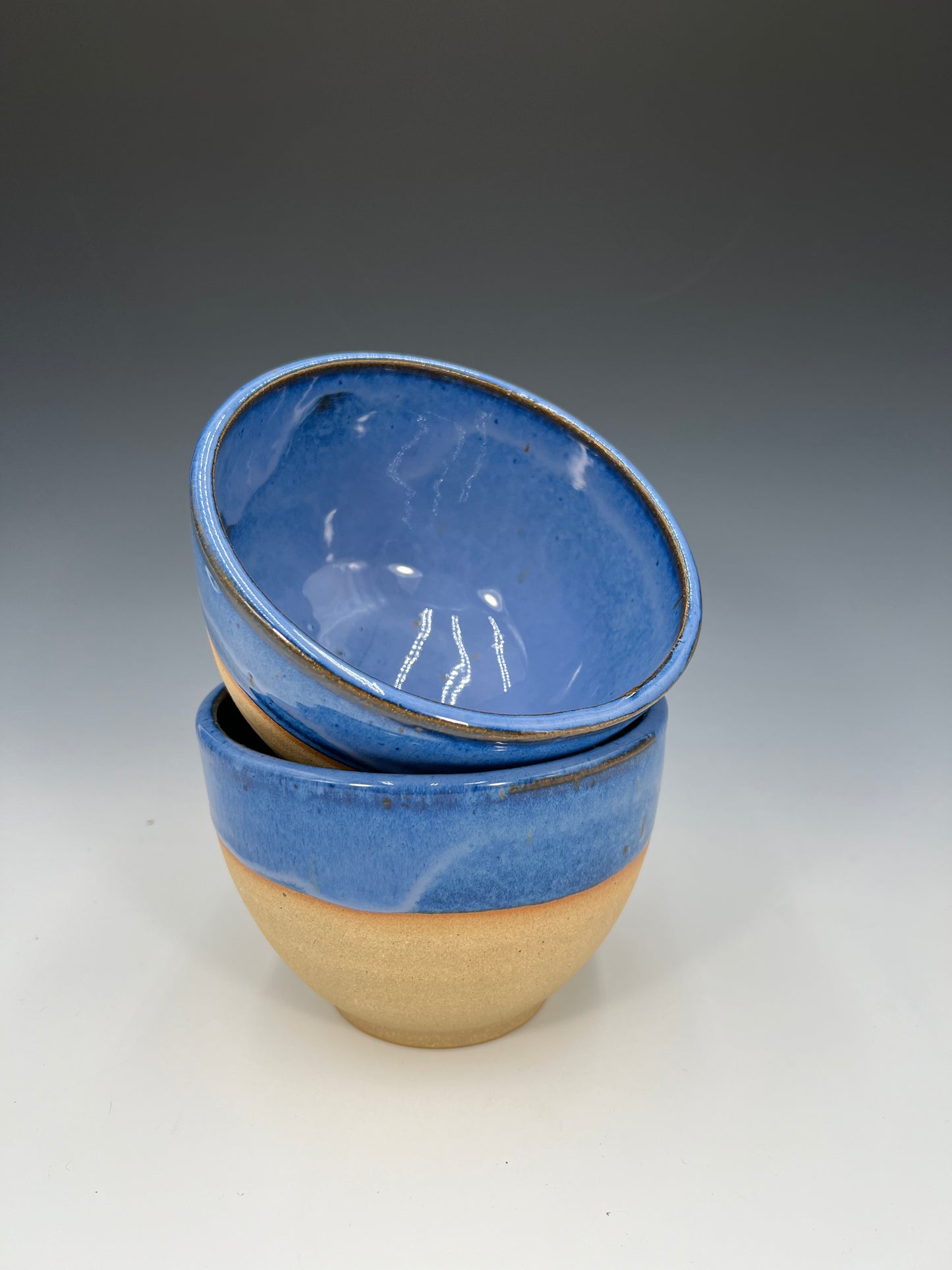 Monarch Mug
