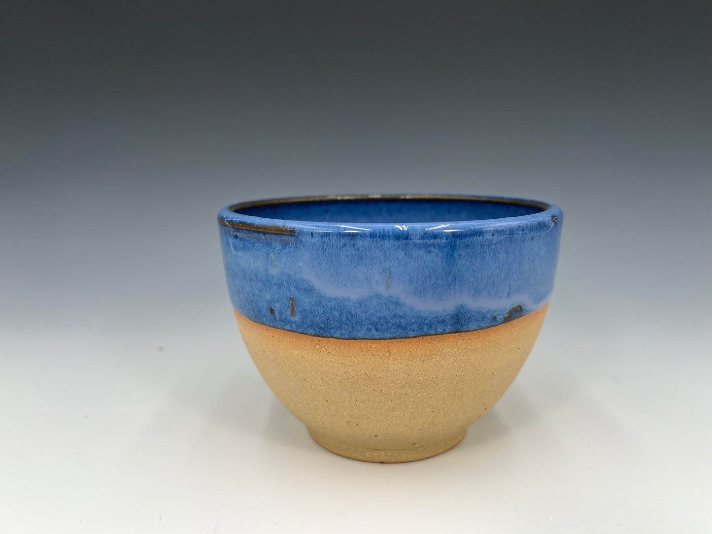 Monarch Mug