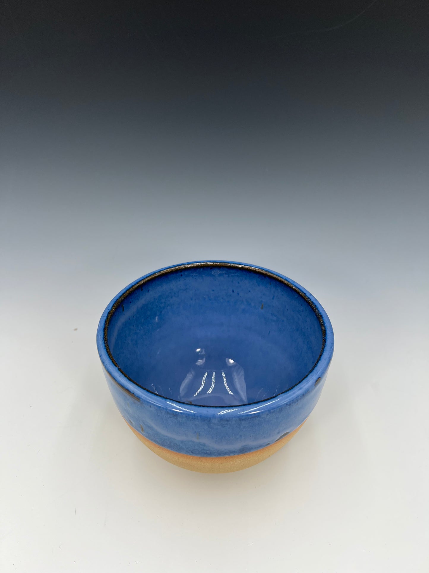 Monarch Mug